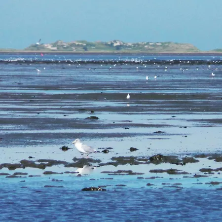 Luettje Meerzeithuus 公寓 *