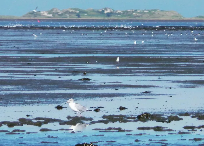 Luettje Meerzeithuus Apartment *